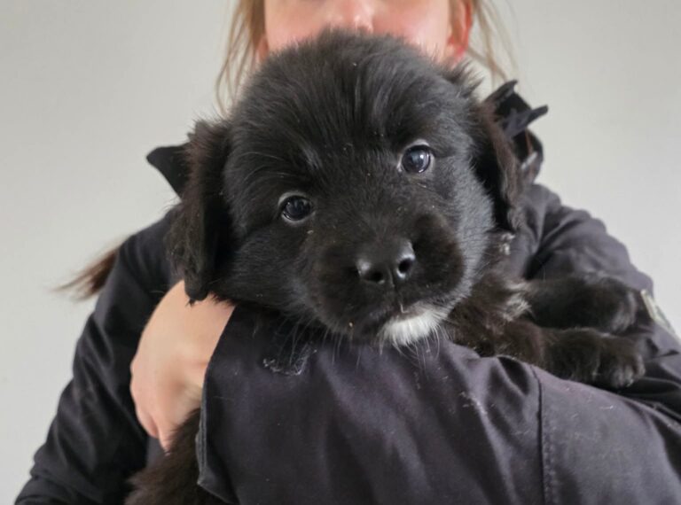 FB_IMG_1763384725165