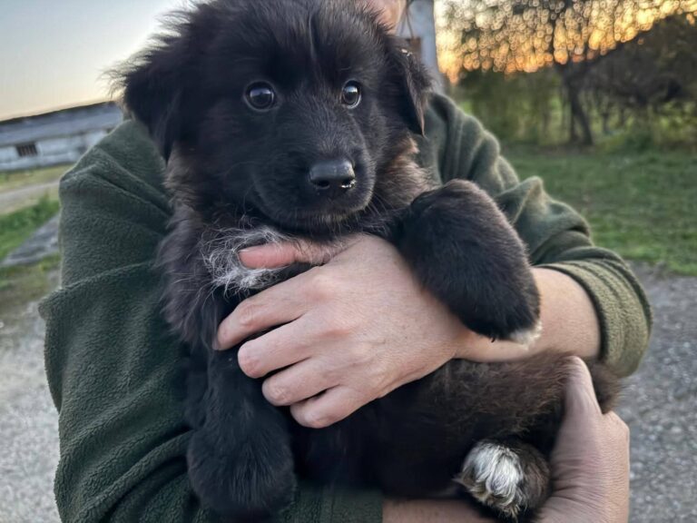 FB_IMG_1763385568107