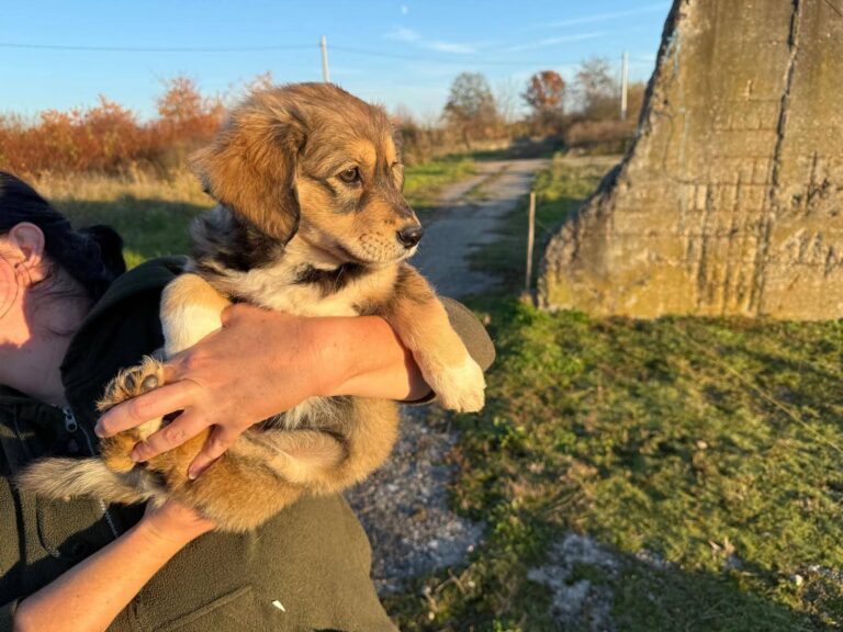 FB_IMG_1763453865293