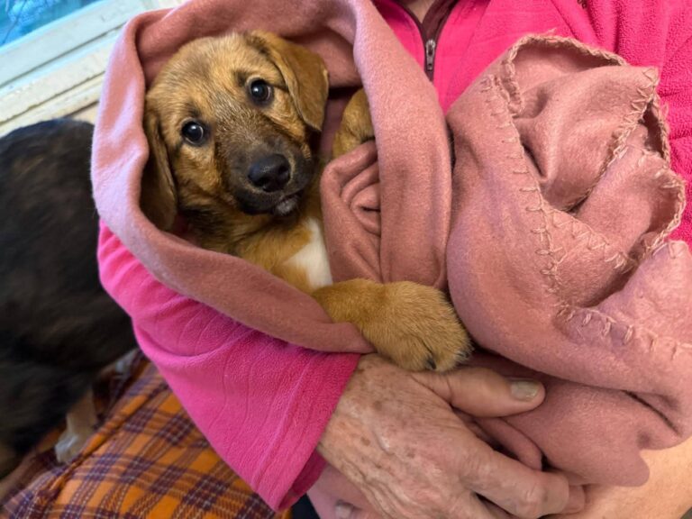 FB_IMG_1763455136978