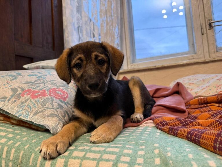 FB_IMG_1763457020194