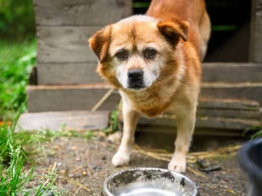 FB_IMG_1763496812689