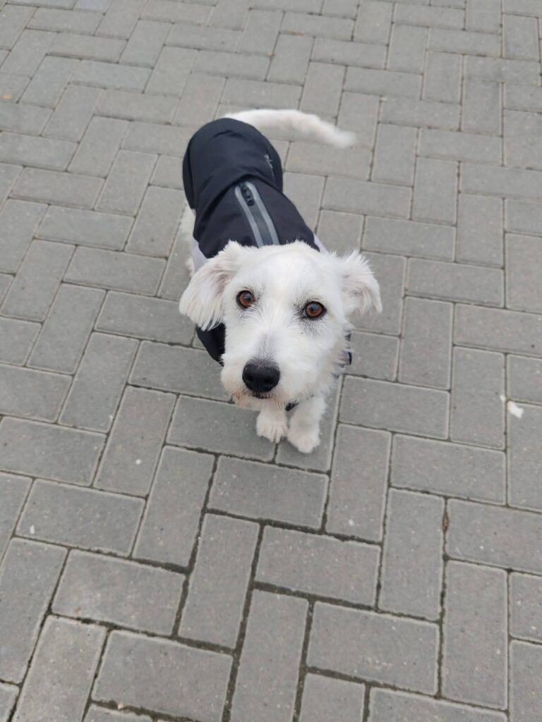 FB_IMG_1763541439056