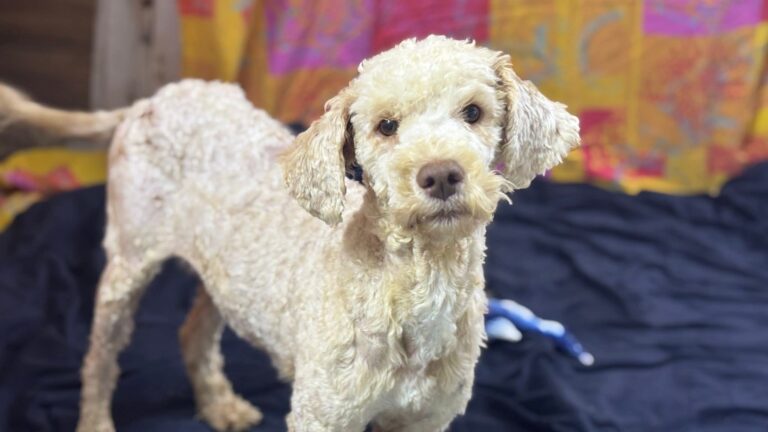 FB_IMG_1764089713365