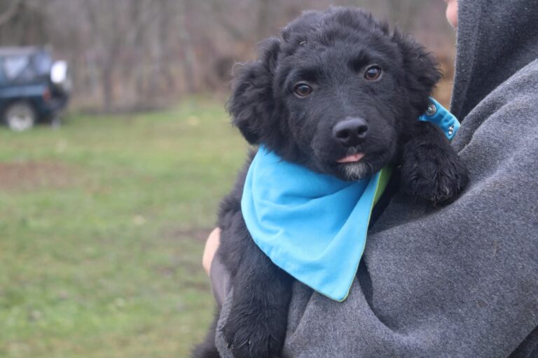 FB_IMG_1764107625020