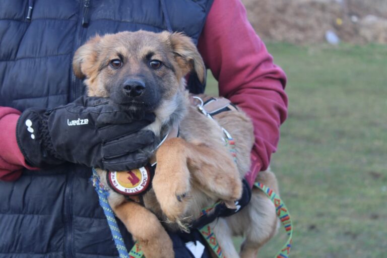 FB_IMG_1766335505204