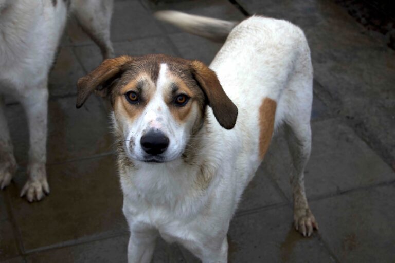 FB_IMG_1766944139403