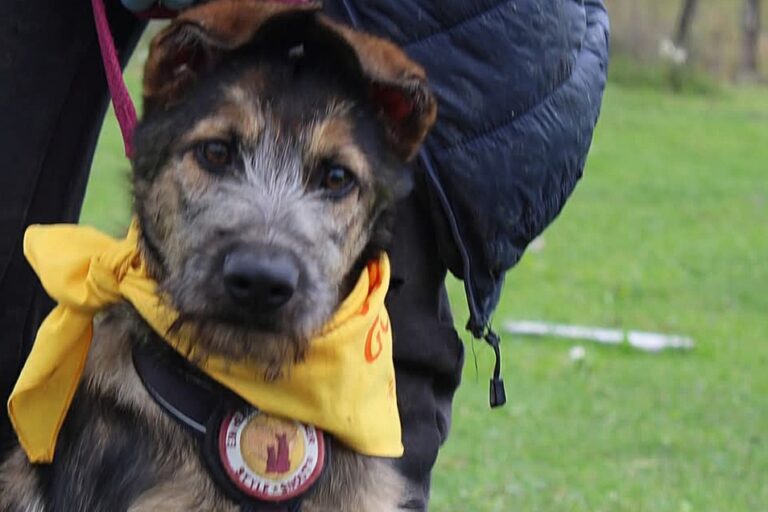 FB_IMG_1768425092429