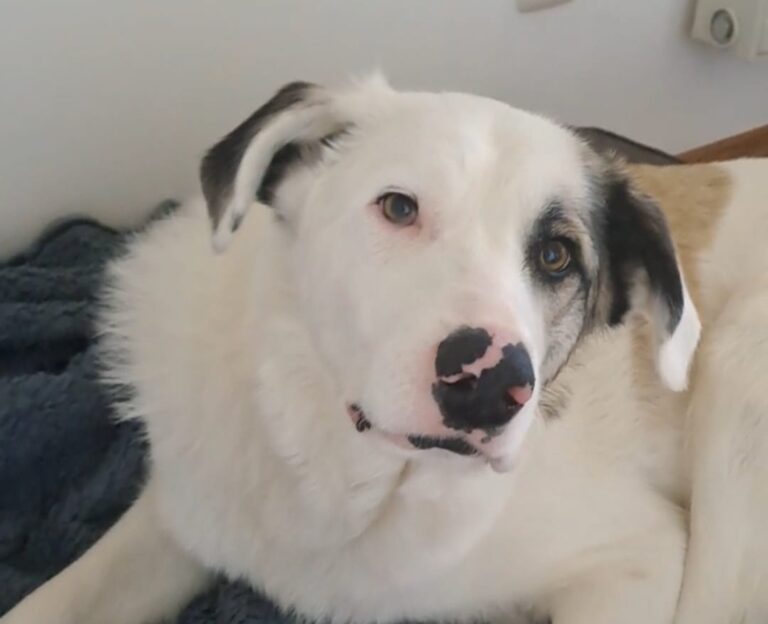 IMG-20251029-WA0124(1)