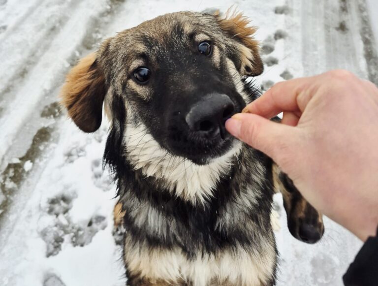 IMG-20260109-WA0063(1)