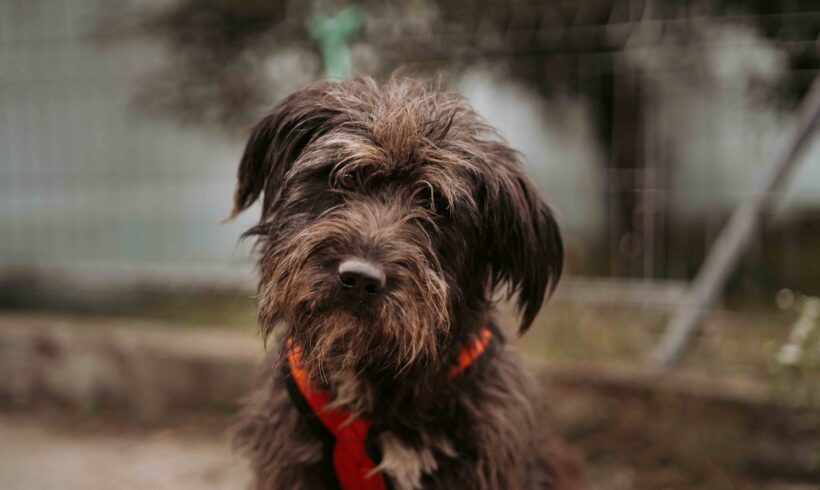 JONAS – reserviert