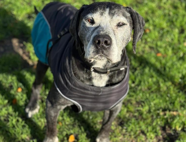 Screenshot 2025-11-16 221008