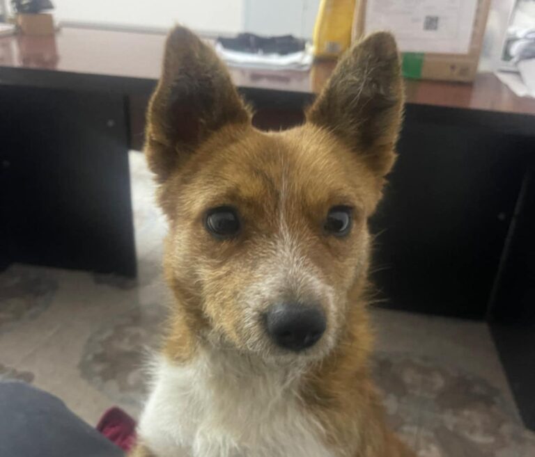 WhatsApp Bild 2025-11-16 um 21.40