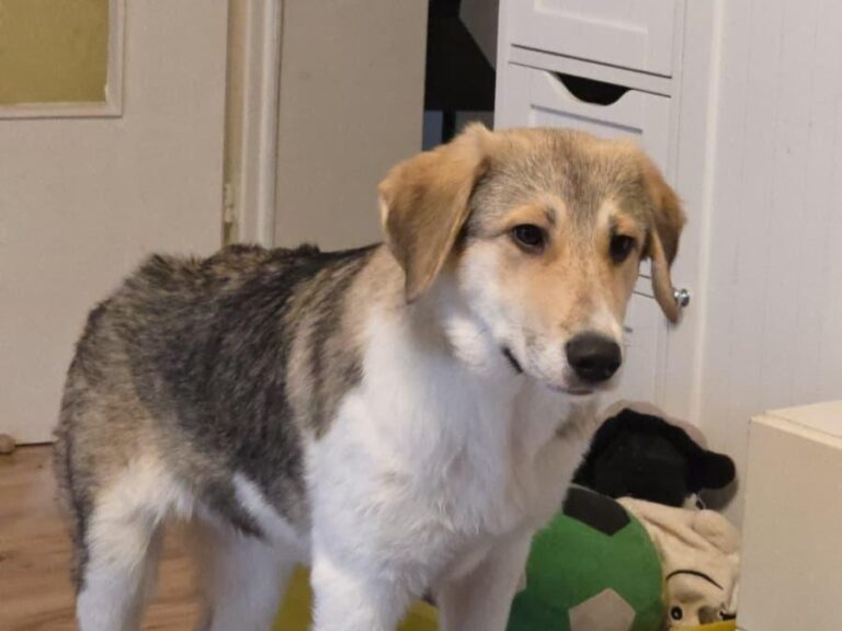 WhatsApp Image 2026-02-19 at 16.09