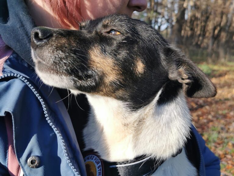 a71eab6f-94b4-4114-b87e-e905f8793f60