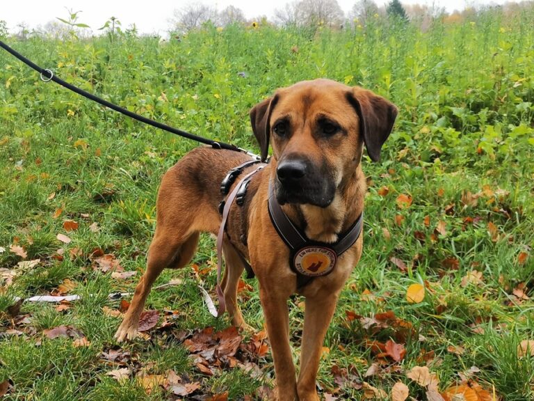 ad8759bb-6581-4baf-b3d2-1d0cf98b9e23