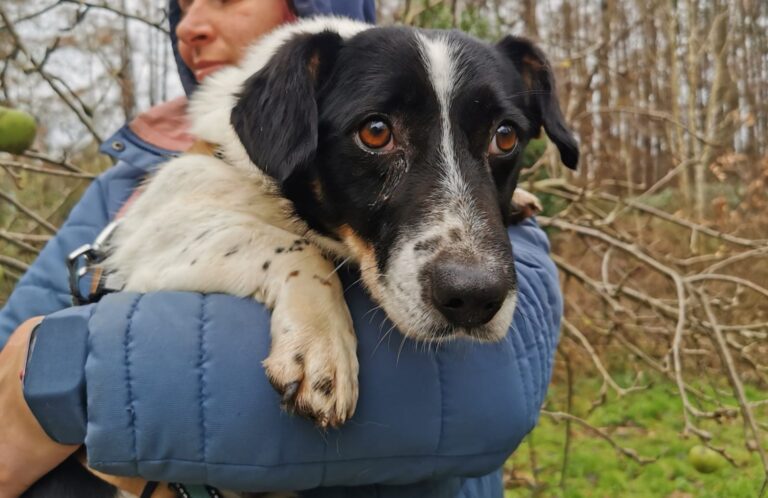 c0e3b038-23e0-4a64-9dd5-c1bfbaf10f91 - Kopie