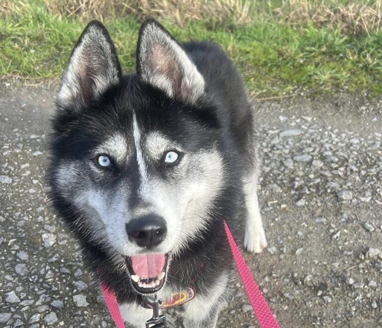 cf821fd8-93f5-45cb-a186-cd44c21114f0