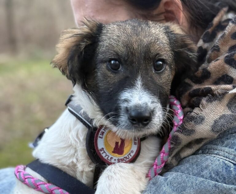 eaca46fd-4235-4f91-b6ec-a0ec83f290e4