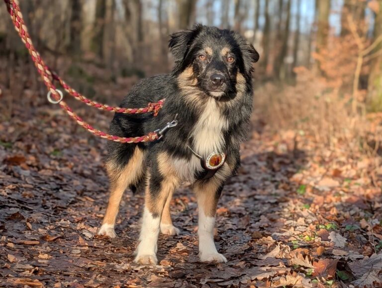 f25d015b-338e-4123-87d0-d37096438350