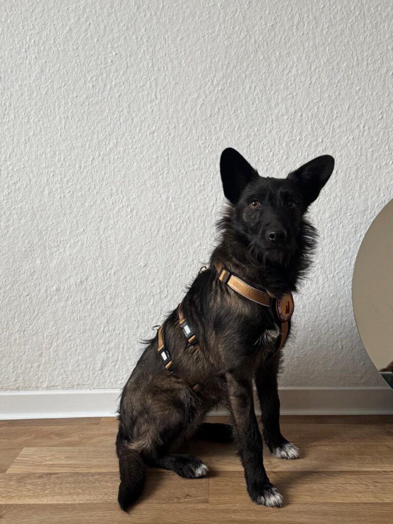 inbound4375245826043436