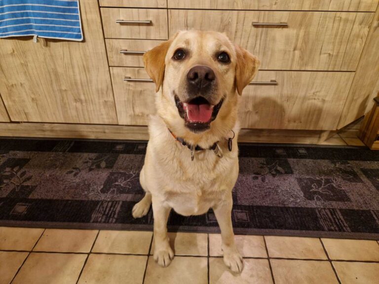 motion_photo_2399741508002313567