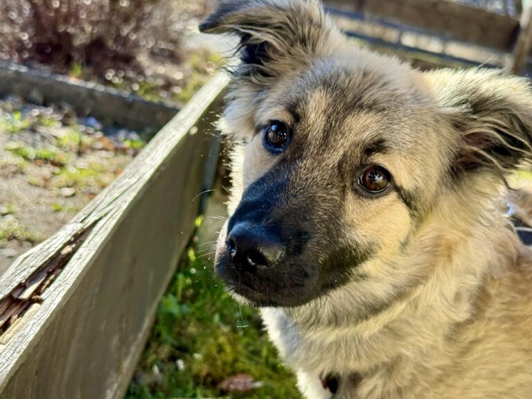 0f2d206f-d173-4192-a1cb-3ef56756e110