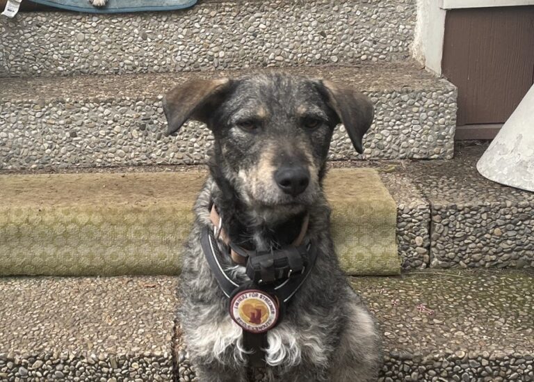 1864fec3-58bb-493c-92c7-7fd3af15daa6