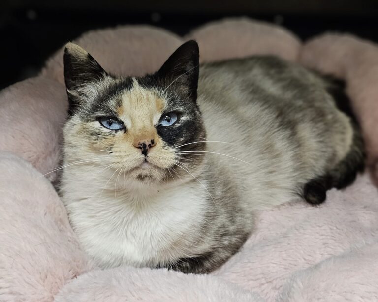 2aedb819-fd9a-4fbd-afff-17d54f37f933