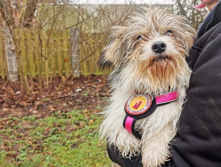 2d9adb4e-4ebb-490d-aeeb-89c78da98bd0