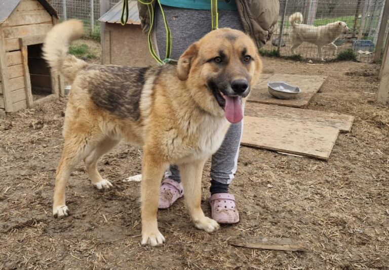 32beb9e9-0ba3-4233-bd40-2998eca82d7c