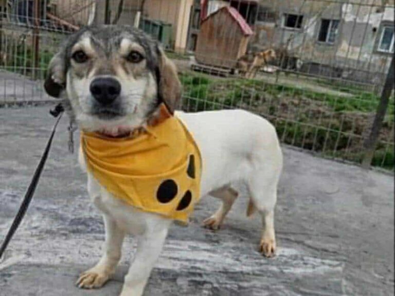 462576821_3727565680840101_4713161281642510158_n