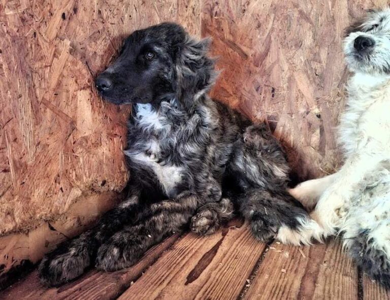 484589834_2267456663622549_9199620178369690713_n