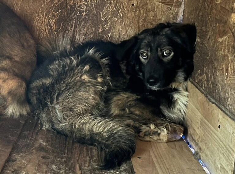 539765539_24744833858453612_7331323670096018741_n