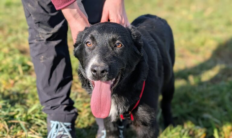 555E7695-B566-4353-B1F0-F0CE78B2644C_1_201_a