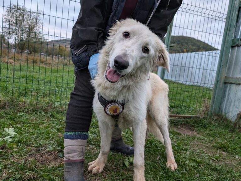 564724750_122198330762287866_3316709151212204696_n