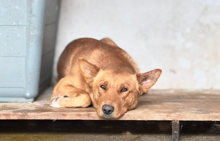 568146977_25704784969108490_6848209135949745344_n