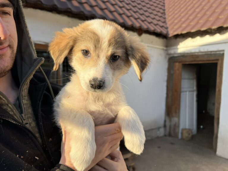 573285680_4103839839865820_6681284616582545253_n