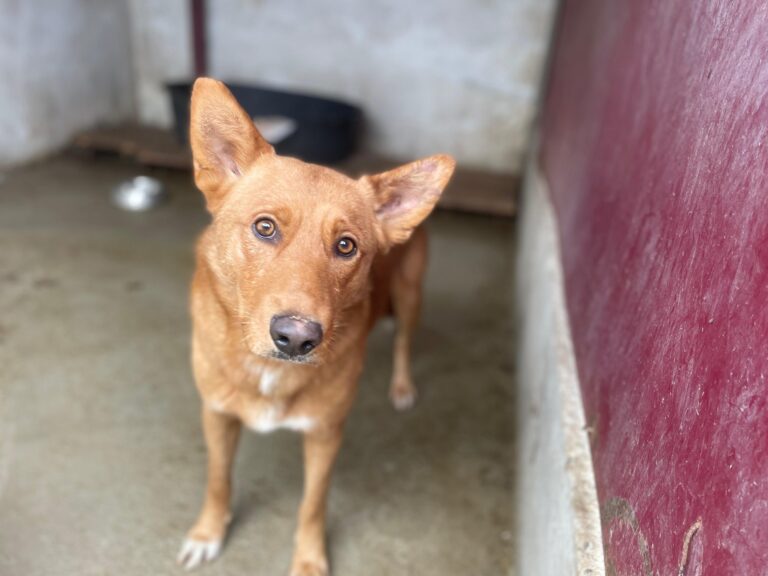 581929721_122111318517012423_6160986706316693167_n