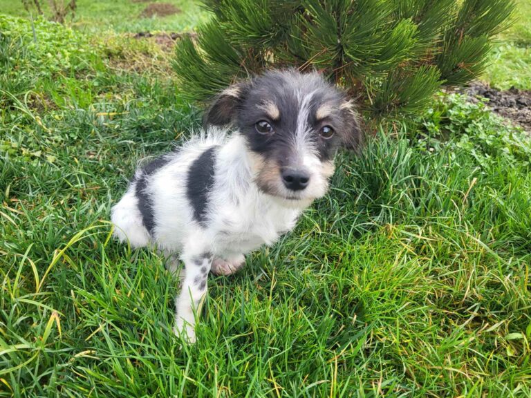 585367435_24348399358168783_5927685389755972615_n