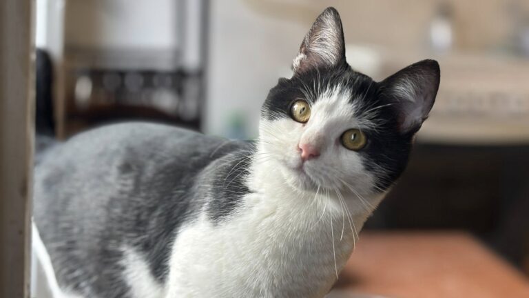 586294867_122220850616122691_3142124877673237854_n