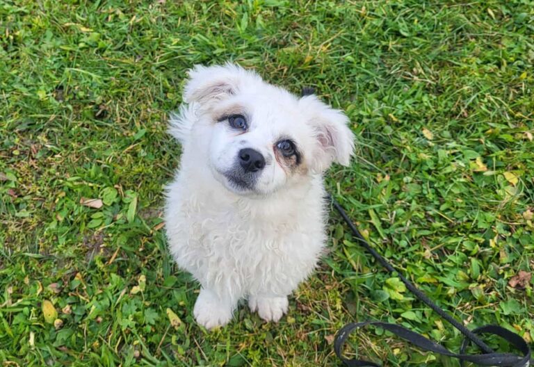 587012921_24385470967794955_6740597167935049052_n