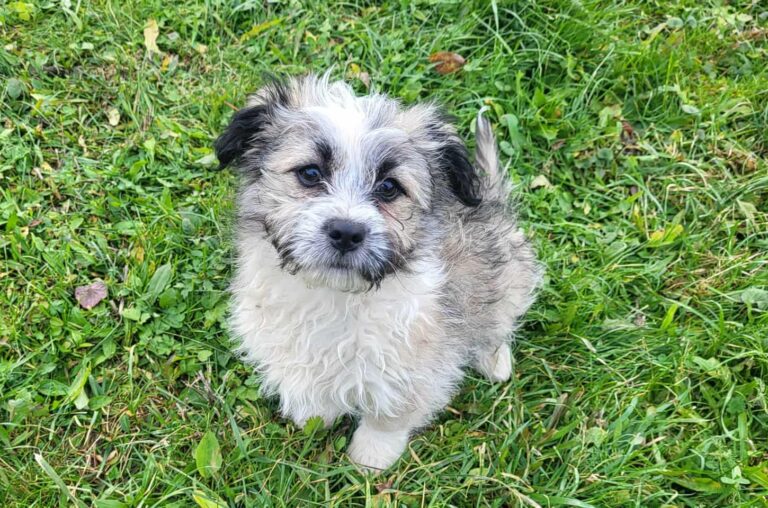 587036323_24385464044462314_7792479605832728449_n