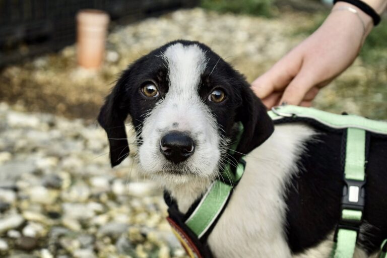 587773658_4125899820993155_2015504938719556480_n