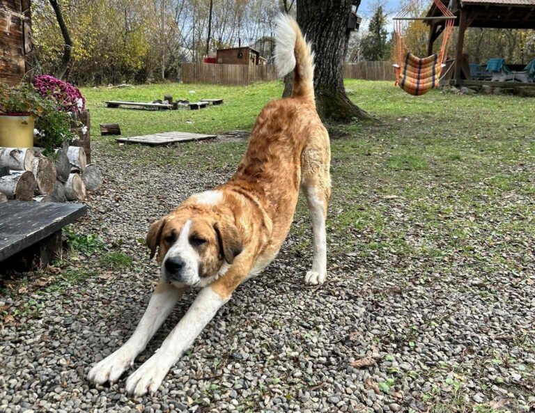 588607575_24385183921156993_2843291355202902352_n