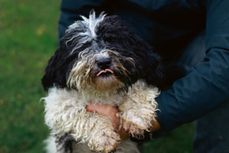 590829552_3184826805028767_604205748031455266_n