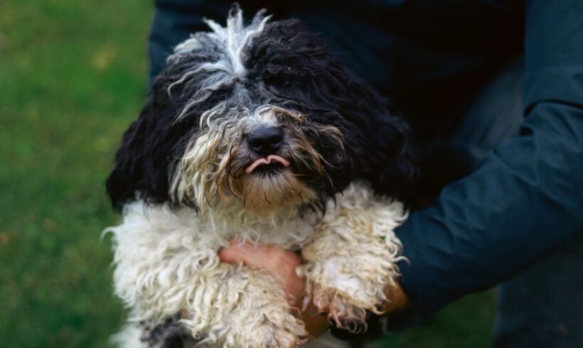 ASLAN – reserviert ASLAN – reserviert