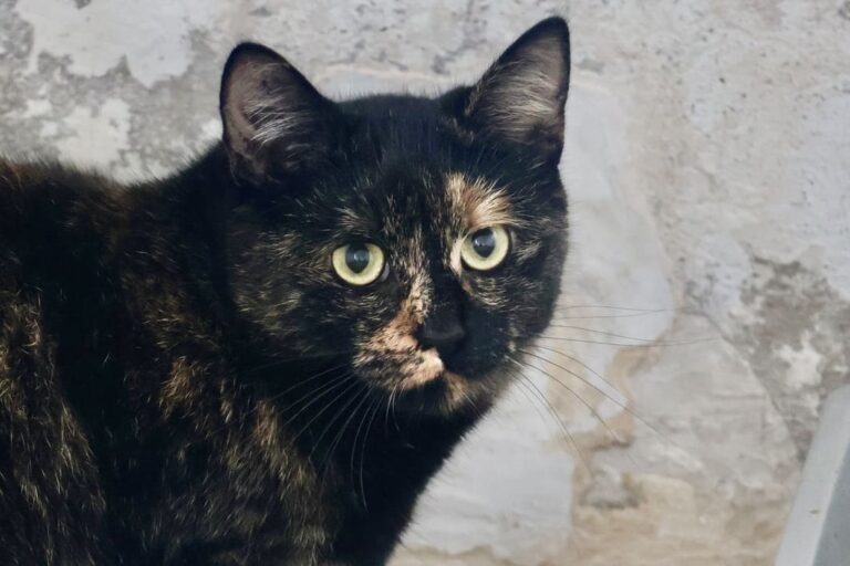 591366802_3286040728227764_6115029017373886832_n