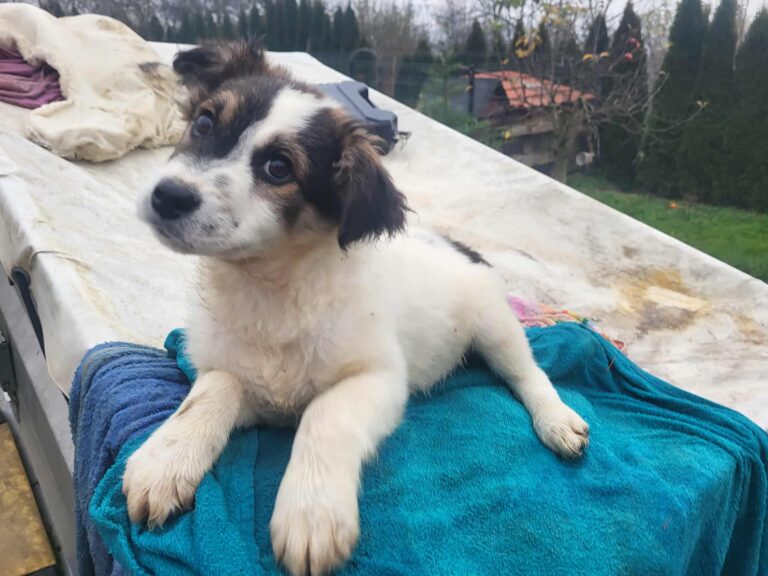 592231752_24437770915898293_8013345420282277796_n