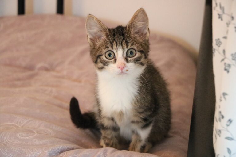 593105173_25693453983585868_5072763251836872924_n